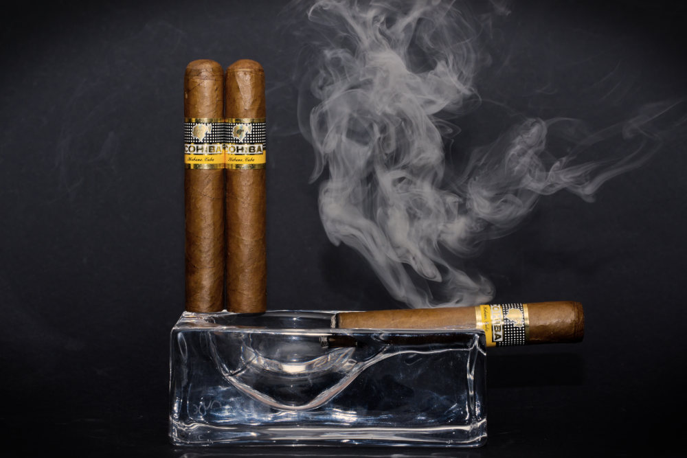 Cohiba Robusto